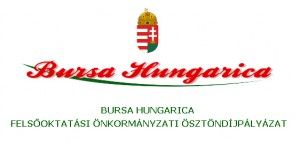 Bursa